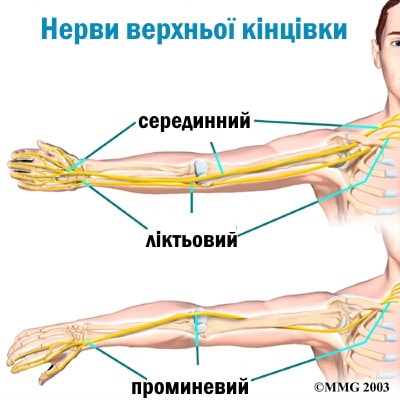 Масаж нервових стовбурів верхньої кінцівки.